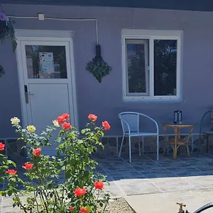 Vilă The Purple House-villa In, Bucureşti